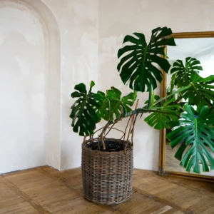 Herramienta para jardín especial